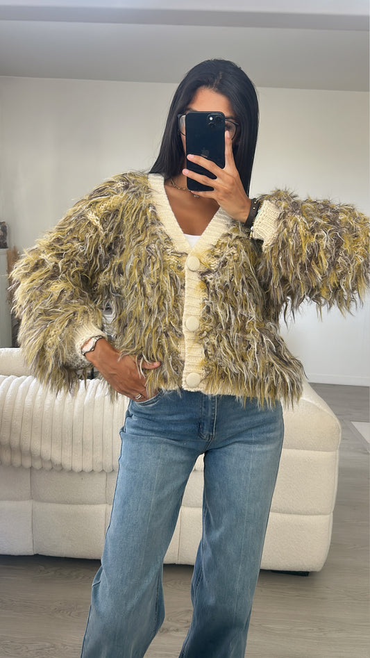 Cardigan